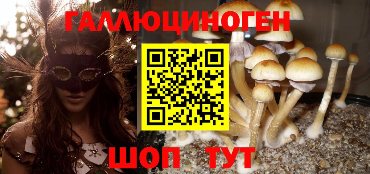 Галлюциногенные грибы MAGIC MUSHROOMS  Вход с VPN  Серов  Галлюциногенные грибы GOLDEN TEACHER 